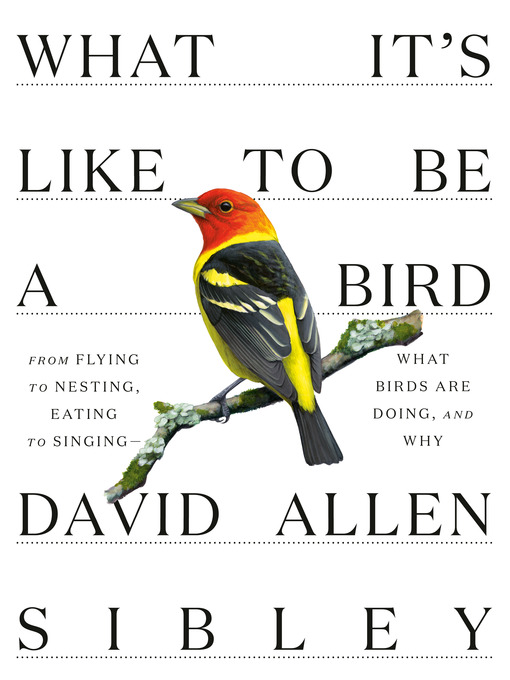 Title details for What It's Like to Be a Bird by David Allen Sibley - Available